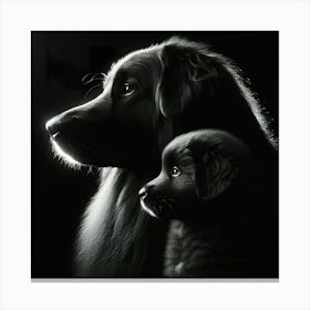 Black And White Dog Portrait 1 Canvas Print