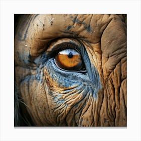 Eye Of An Elephant Canvas Print