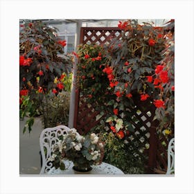 Begonias In A Greenhouse Canvas Print
