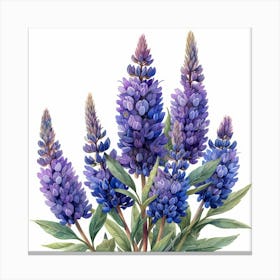 Lupine 7 Toile