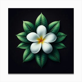 Frangipani Flower 3 Canvas Print