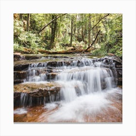 Forest Waterfall 1 Square Canvas Print