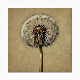 Dandelion 8 Canvas Print