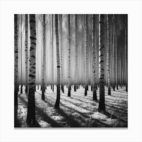 Birch Forest 6 Canvas Print