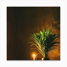 Candle And Plant Canvas Print