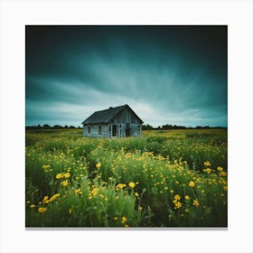 House In A Field Canvas Print