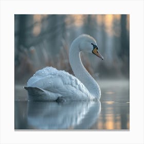 Swan Beak 4 Canvas Print