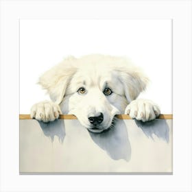 Dog Peeking Over A Sign 7 Canvas Print