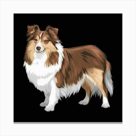 Collie Dog Canvas Print