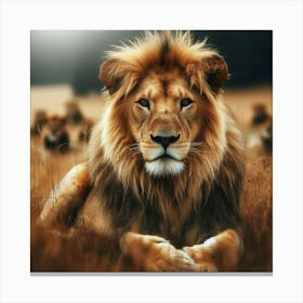 Lion In The Grass Canvas Print