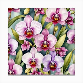 Orchids 1 Canvas Print