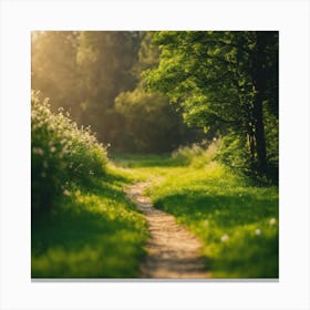 Path In The Forest Canvas Print