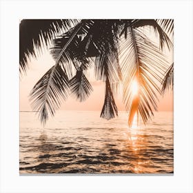 Palm Tree Silhouette Square Canvas Print