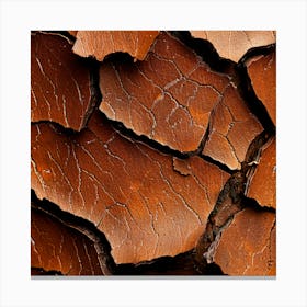 Cracked Earth Texture Canvas Print