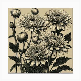 Chrysanthemums 4 Canvas Print