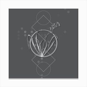 Vintage Dutch Hyacinth Botanical with Line Motif and Dot Pattern in Ghost Gray n.0031 Canvas Print