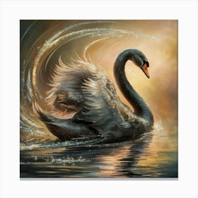 Black Swan Canvas Print