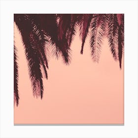 Under Palms Canvas Print