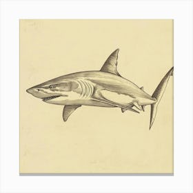 Mako Shark Vintage Illustration 5 Canvas Print