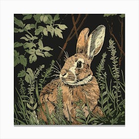 Rabbit In The Woods 1 Canvas Print