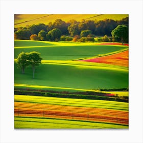 Colorful Fields 1 Canvas Print