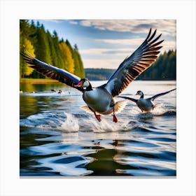 Geese Take Off Above The Surface Of The Water In A Lake Creating Water Geometric Shapes With Its Le Canvas Print