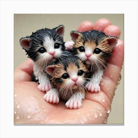 Three Kittens In The Rain 2 Canvas Print