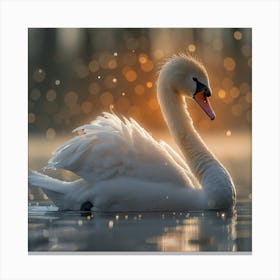 Cute Swan Canvas Print