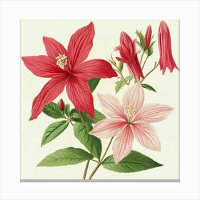 Hibiscus Art 1 Canvas Print