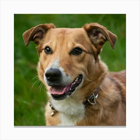 Dog In The Grass Canvas Print