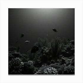 Black And White Underwater Scene1 Canvas Print