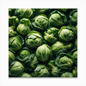 Brussels Sprouts 5 Canvas Print