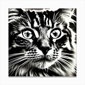 Black And White Cat 5 Canvas Print