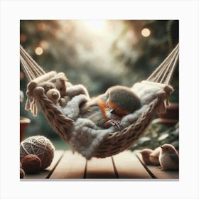 Robin Sleeping In A Hammock Canvas Print