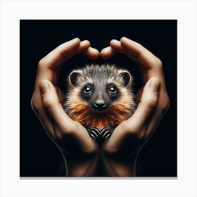 Heart Of A Raccoon Canvas Print