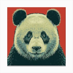 Panda Bear 4 Canvas Print