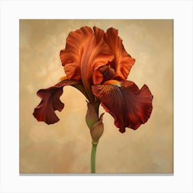 Iris Flower Canvas Print