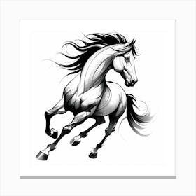 Horse Running 2 Canvas Print