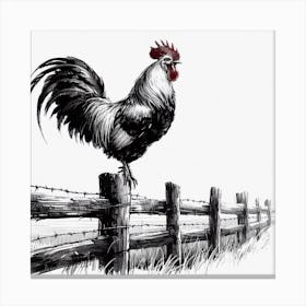 Rooster On A Fence Canvas Print