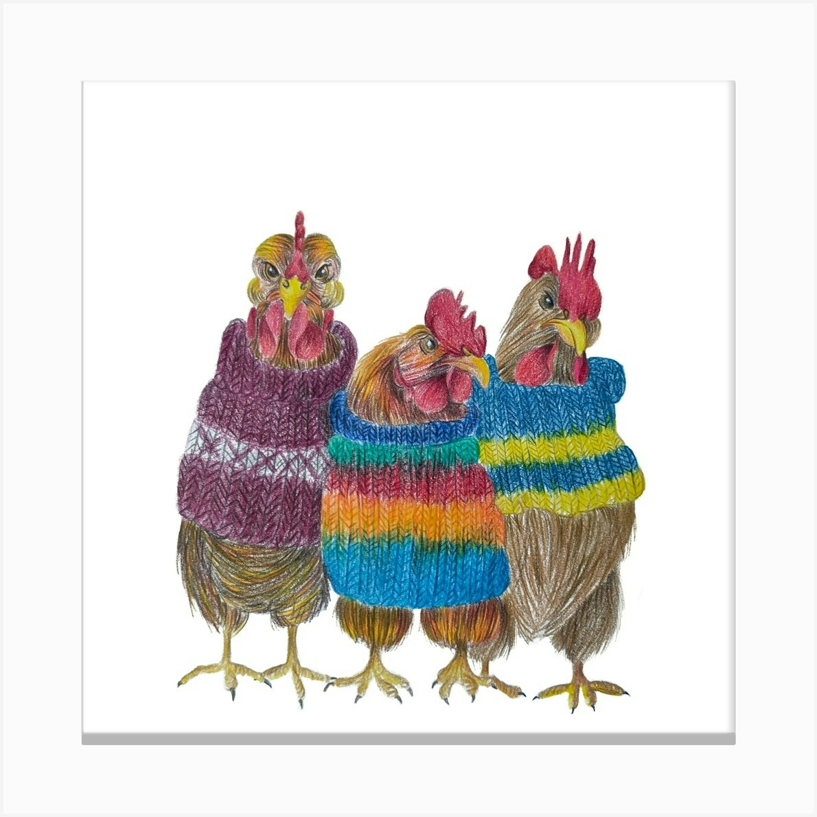 3 hens wearing knitted jumpers Canvas Print by Justyna Filipiak