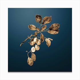 Gold Botanical Cherry on Dusk Blue n.3016 Canvas Print
