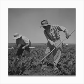 Nyssa, Oregon, Fsa (Farm Security Administration) Mobile Camp, Japanese American Farm Worker By Russell Lee Canvas Print