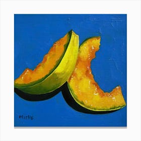 Melon Slices Canvas Print