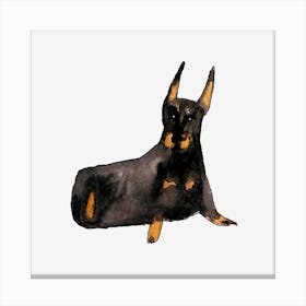 Doberman Pinscher Canvas Print