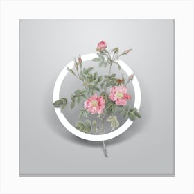 Vintage Pink Rosebush Bloom Minimalist Flower Geometric Circle on Soft Gray n.0350 Canvas Print