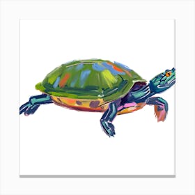 Painted Turtle 03 Canvas Print