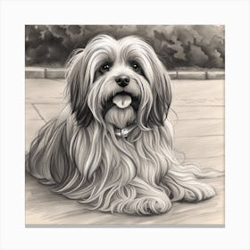 Shih Tzu 2 Canvas Print