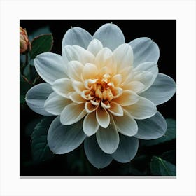 White Dahlia Flower 1 Canvas Print