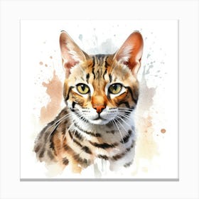 Bengal Marbled Cat Portrait Canvas Print