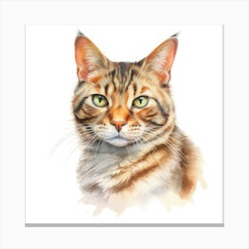 Chinese Li Hua Cat Portrait 3 Canvas Print